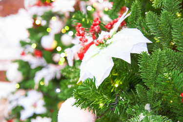 Similar image 21255529