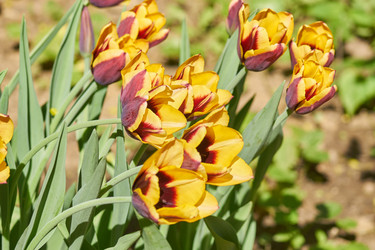 Similar image 21257530