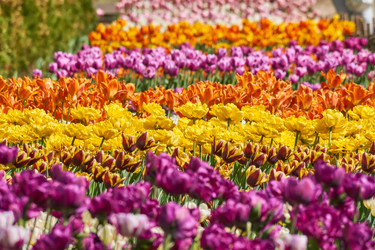 Similar image 21257532