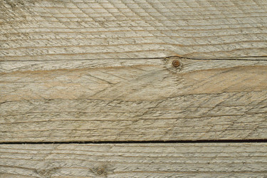 Similar image 21257976