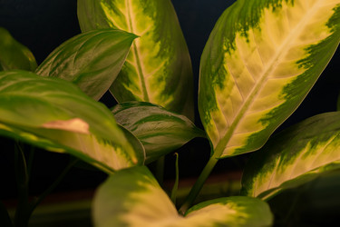 Similar image 21235196