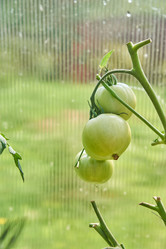 Similar image 21235206