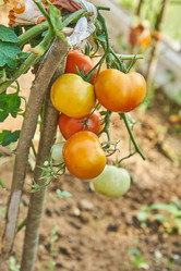 Similar image 21235210