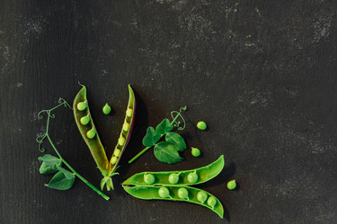 Similar image 21235212