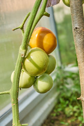 Similar image 21235311