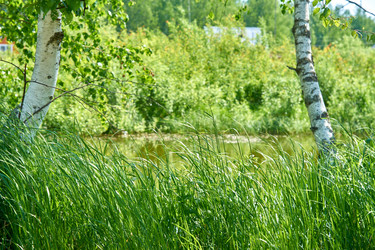 Similar image 21235475