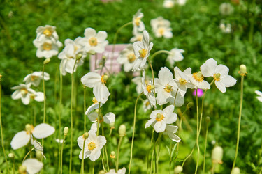 Similar image 21235598