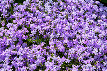 Similar image 21235601