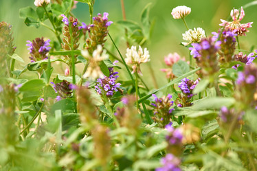 Similar image 21235603