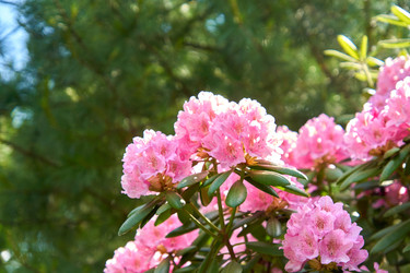 Similar image 21235604