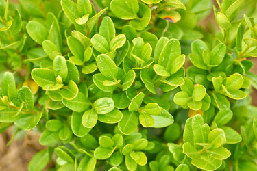 Similar image 21235607