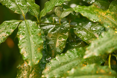 Similar image 21243251