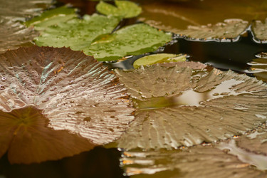 Similar image 21243252