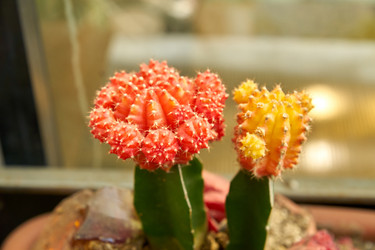 Similar image 21243253