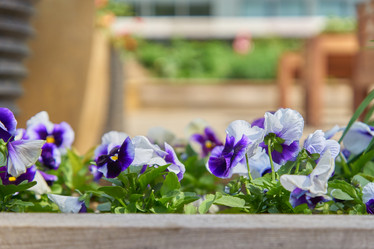 Similar image 21243256