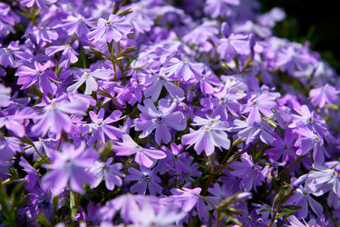 Similar image 21243257