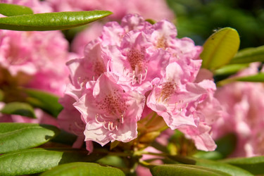 Similar image 21243258