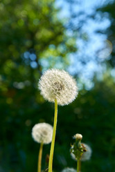 Similar image 21253935