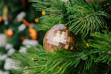 Similar image 21253945