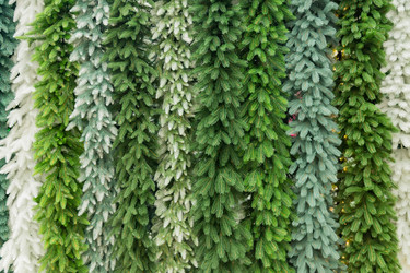 Similar image 21254432