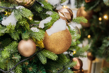 Similar image 21254568