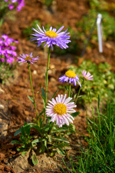 Similar image 21254571