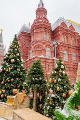 Similar image 21254572