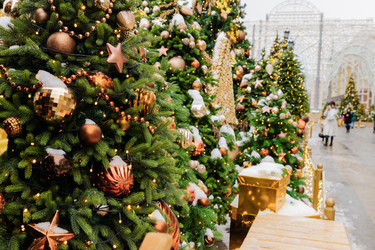 Similar image 21254573