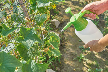 Similar image 21254774