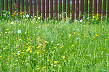 Similar image 21254775