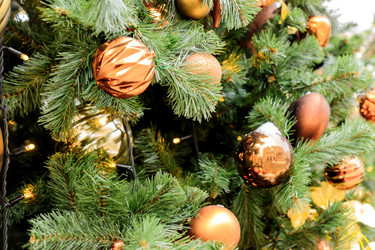 Similar image 21254776