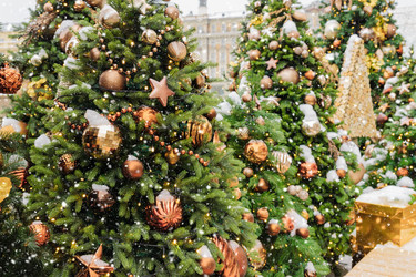 Similar image 21254777