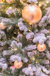 Similar image 21254778