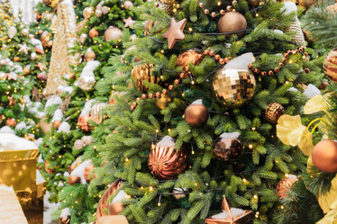 Similar image 21254779