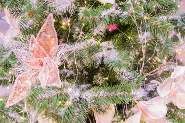 Similar image 21254780