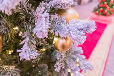 Similar image 21254781