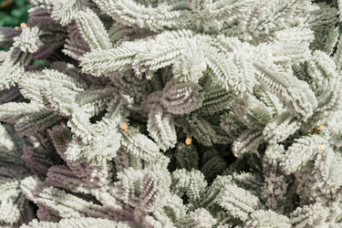 Similar image 21255134