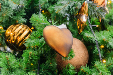 Similar image 21255135