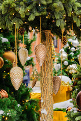 Similar image 21255532