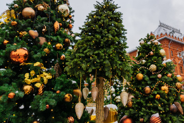 Similar image 21255533