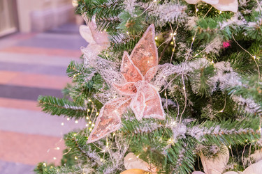 Similar image 21255901