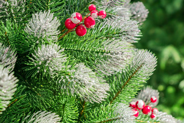 Similar image 21255902