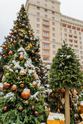 Similar image 21257057