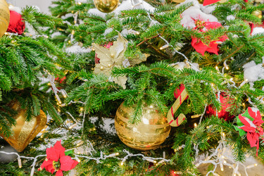 Similar image 21257129