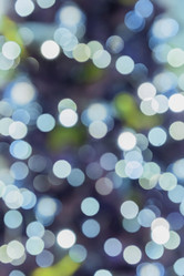 Similar image 21257131