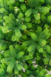 Similar image 21257132