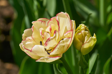 Similar image 21257979