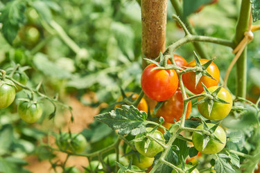 Similar image 21258062