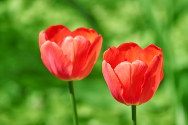 Similar image 21258664