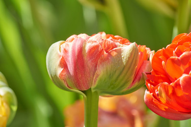 Similar image 21258666